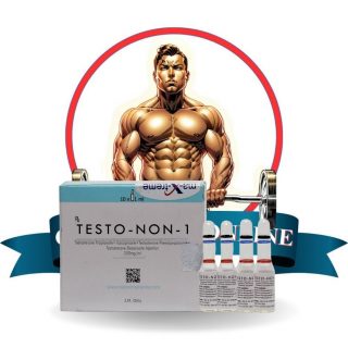 Kopen Sustanon 250 (testosteronmix) bij Nederland | Testo-Non-1 Online