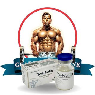 Kopen Testosteron enanthate bij Nederland | Testobolin (vial) Online