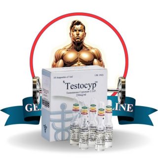 Kopen Testosteron cypionate bij Nederland | Testocyp Online